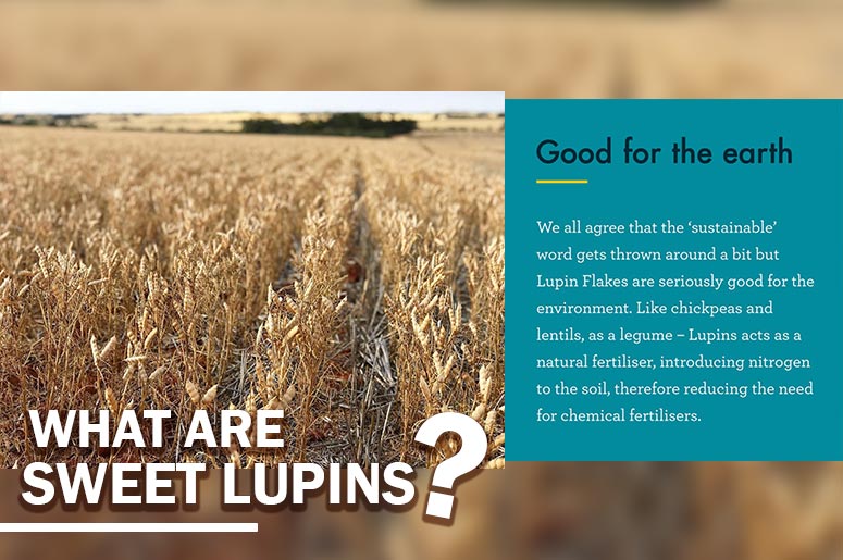 What is Australian Sweet Lupin